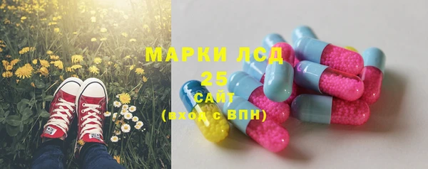 ешки Аркадак