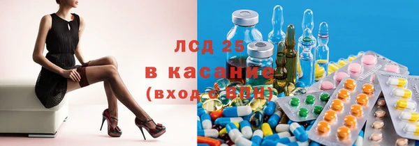 ешки Аркадак