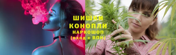 ешки Аркадак