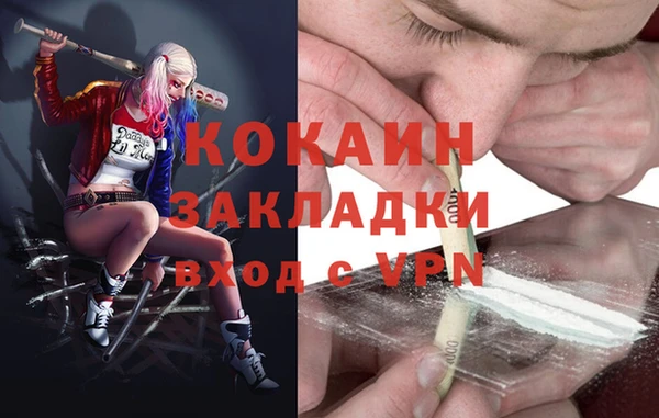 ешки Аркадак