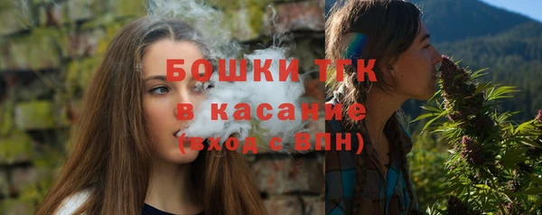 ешки Аркадак