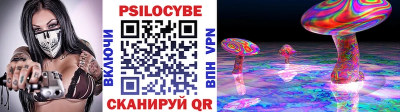 Псилоцибиновые грибы прущие грибы  закладка  ссылка на мегу ТОР  Георгиевск 