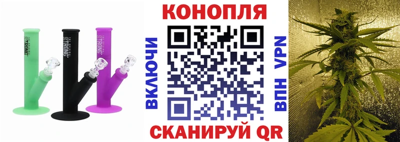 Каннабис конопля Георгиевск